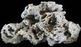 Sparkling, Calcite Stalactite Formation - Morocco #41782-2